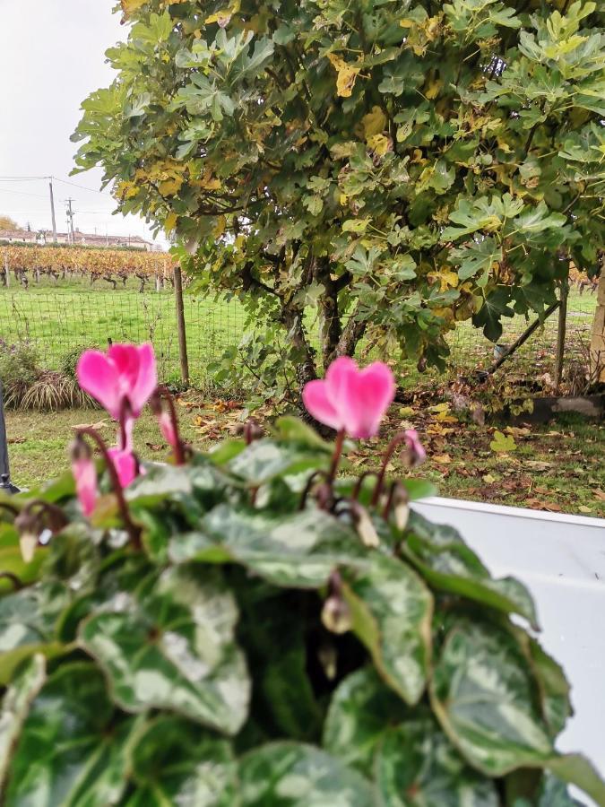 Gite " Suzon" A Peyroutas Vignonet St Emilion Ngoại thất bức ảnh